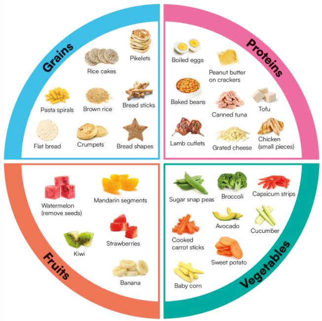 colorful pie chart divided into four sections representing types of finger food to offer your baby from 6 months of age: Grains (blue) with items like pikelets, rice cakes, and pasta spirals; Proteins (pink) with foods like boiled eggs, peanut butter on crackers, lamb cutlets, chicken pieces and tofu; Fruits (orange) including watermelon, banana, and strawberries; and Vegetables (green) with options like broccoli, avocado, and cooked carrot sticks.