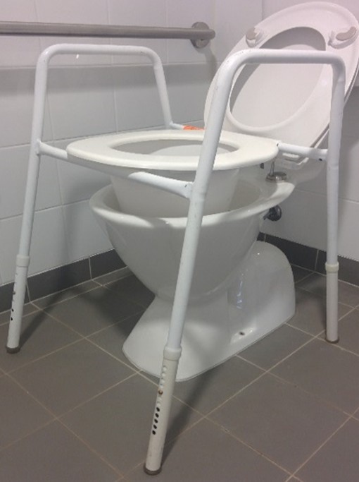 White coloured toilet frame
