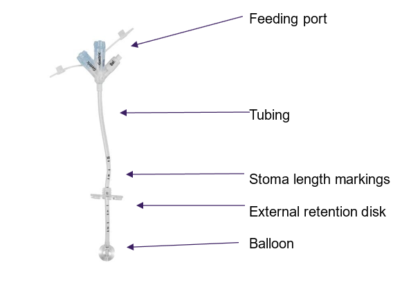 A sterile medical catheter featuring a long flexible tube with graduated markings, a rounded inflatable balloon near the tip, and several color-coded access ports at the opposite end. Labels identifying the catheter and balloon channels are visible on the connectors. The device is displayed vertically on a plain light background.